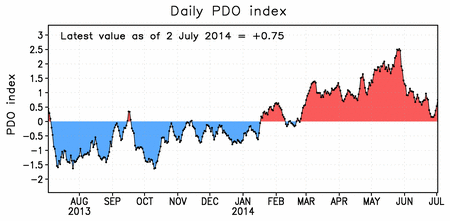 pdo