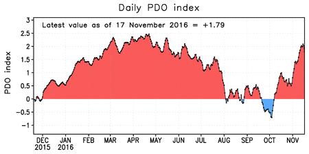 pdo